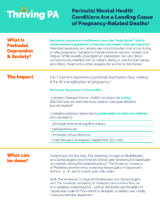 Cover Image: Fact Sheet: Perinatal Mental Health Conditions Are a Leading Cause of Pregnancy-Related Deaths – September 2021