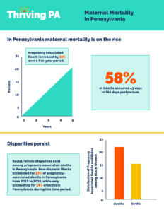 Cover Image: Fact Sheet: Maternal Mortality in Pennsylvania – September 2021